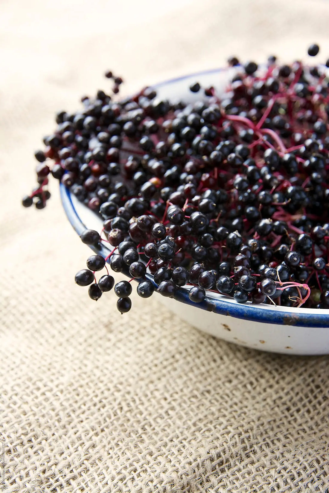The-Benefits-of-Organic-Elderberry-Syrup-Australia-Natural-Immune-Support-You-Can-Trust - Sow N Reap Co