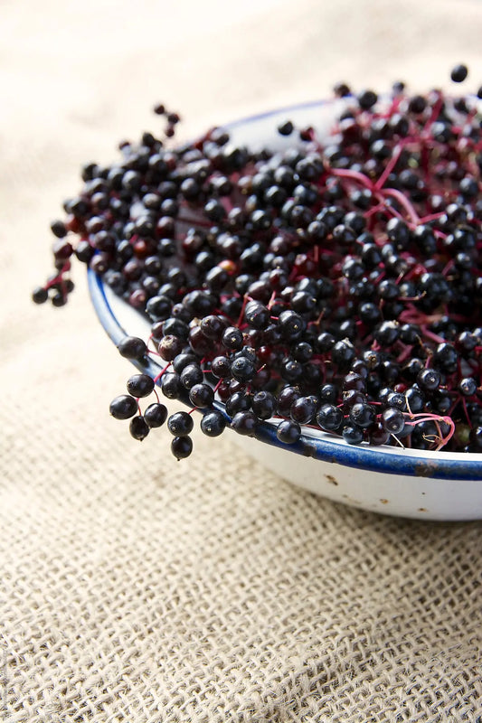 The-Benefits-of-Organic-Elderberry-Syrup-Australia-Natural-Immune-Support-You-Can-Trust - Sow N Reap Co